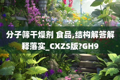 分子筛干燥剂 食品,结构解答解释落实_CXZS版?GH9