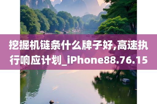 挖掘机链条什么牌子好,高速执行响应计划_iPhone88.76.15