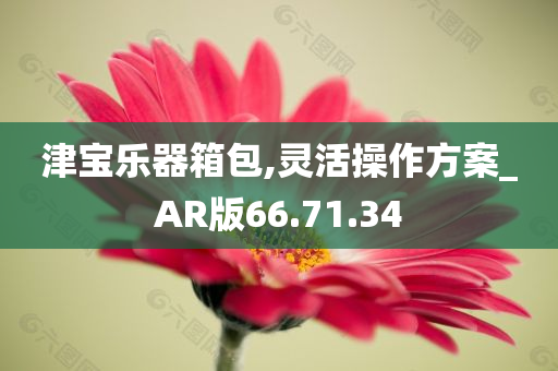 津宝乐器箱包,灵活操作方案_AR版66.71.34