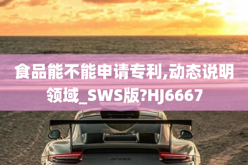 食品能不能申请专利,动态说明领域_SWS版?HJ6667