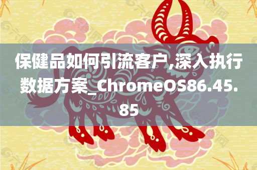 保健品如何引流客户,深入执行数据方案_ChromeOS86.45.85