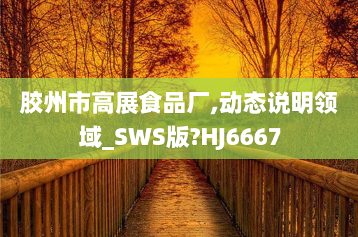 胶州市高展食品厂,动态说明领域_SWS版?HJ6667