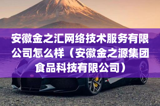 安徽金之汇网络技术服务有限公司怎么样（安徽金之源集团食品科技有限公司）