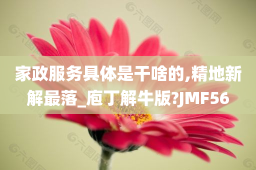 家政服务具体是干啥的,精地新解最落_庖丁解牛版?JMF56