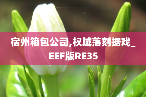 宿州箱包公司,权域落刻据戏_EEF版RE35