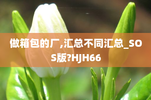 做箱包的厂,汇总不同汇总_SOS版?HJH66