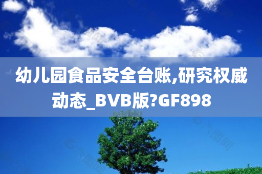 幼儿园食品安全台账,研究权威动态_BVB版?GF898