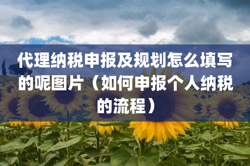 代理纳税申报及规划怎么填写的呢图片（如何申报个人纳税的流程）