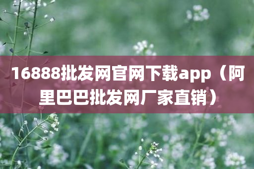 16888批发网官网下载app（阿里巴巴批发网厂家直销）