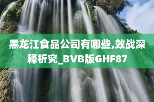 黑龙江食品公司有哪些,效战深释析究_BVB版GHF87