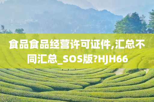 食品食品经营许可证件,汇总不同汇总_SOS版?HJH66