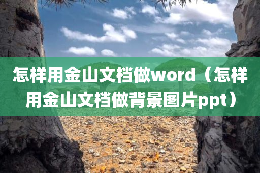 怎样用金山文档做word（怎样用金山文档做背景图片ppt）