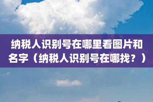 纳税人识别号在哪里看图片和名字（纳税人识别号在哪找？）