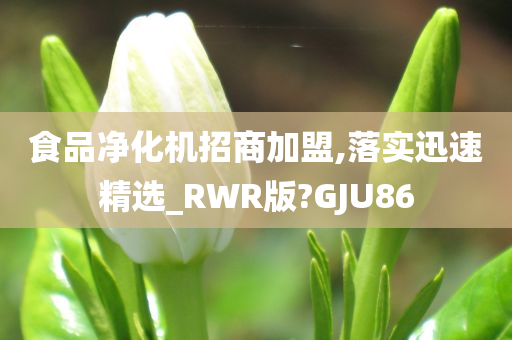 食品净化机招商加盟,落实迅速精选_RWR版?GJU86