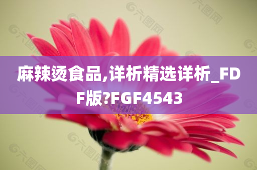 麻辣烫食品,详析精选详析_FDF版?FGF4543