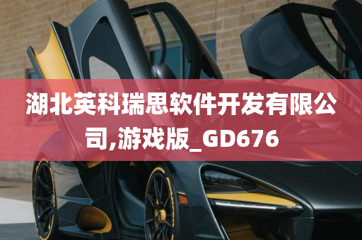 湖北英科瑞思软件开发有限公司,游戏版_GD676