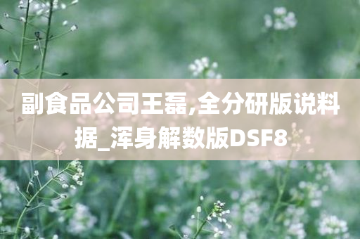 副食品公司王磊,全分研版说料据_浑身解数版DSF8