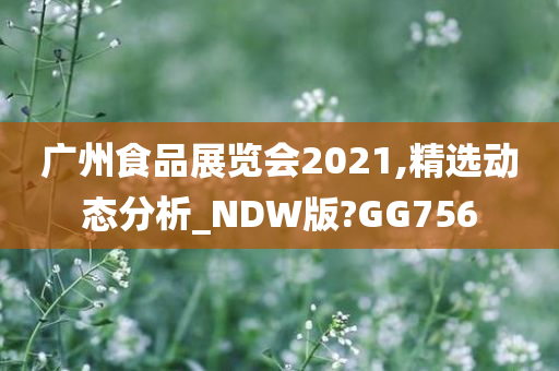 广州食品展览会2021,精选动态分析_NDW版?GG756