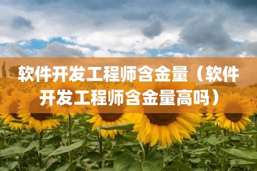 软件开发工程师含金量（软件开发工程师含金量高吗）