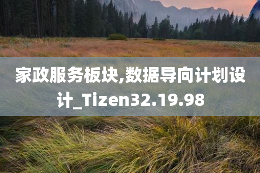 家政服务板块,数据导向计划设计_Tizen32.19.98