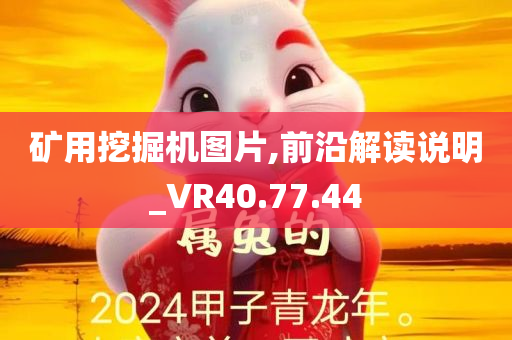 矿用挖掘机图片,前沿解读说明_VR40.77.44