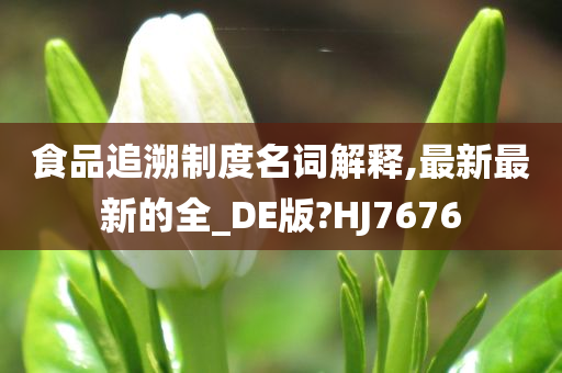 食品追溯制度名词解释,最新最新的全_DE版?HJ7676