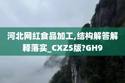 河北网红食品加工,结构解答解释落实_CXZS版?GH9