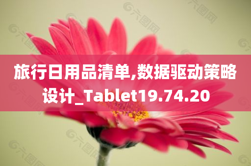 旅行日用品清单,数据驱动策略设计_Tablet19.74.20