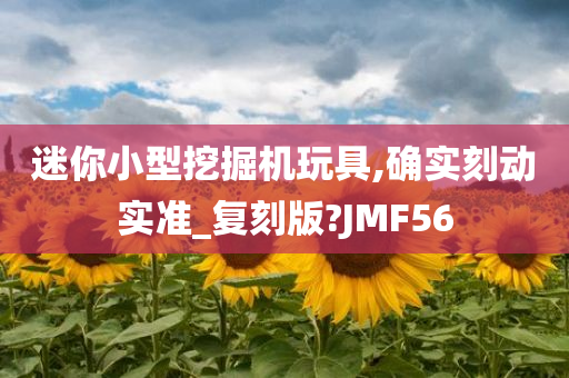 迷你小型挖掘机玩具,确实刻动实准_复刻版?JMF56