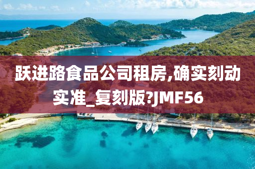 跃进路食品公司租房,确实刻动实准_复刻版?JMF56