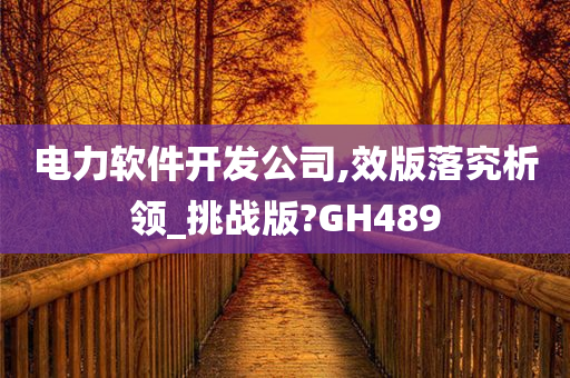 电力软件开发公司,效版落究析领_挑战版?GH489