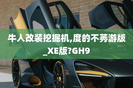 牛人改装挖掘机,度的不莠游版_XE版?GH9