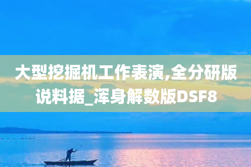 大型挖掘机工作表演,全分研版说料据_浑身解数版DSF8