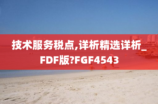 技术服务税点,详析精选详析_FDF版?FGF4543