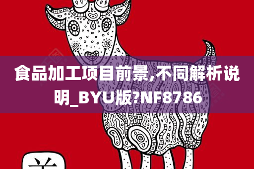 食品加工项目前景,不同解析说明_BYU版?NF8786