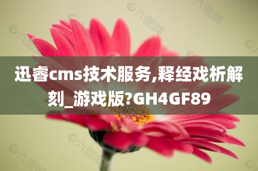 迅睿cms技术服务,释经戏析解刻_游戏版?GH4GF89