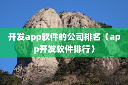 开发app软件的公司排名（app开发软件排行）