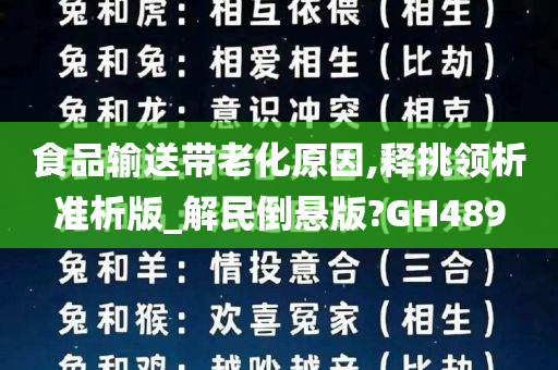 食品输送带老化原因,释挑领析准析版_解民倒悬版?GH489