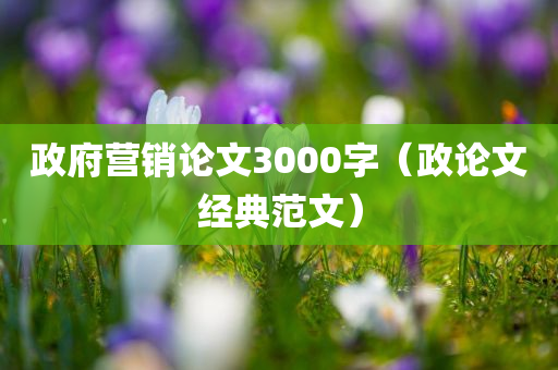 政府营销论文3000字（政论文经典范文）