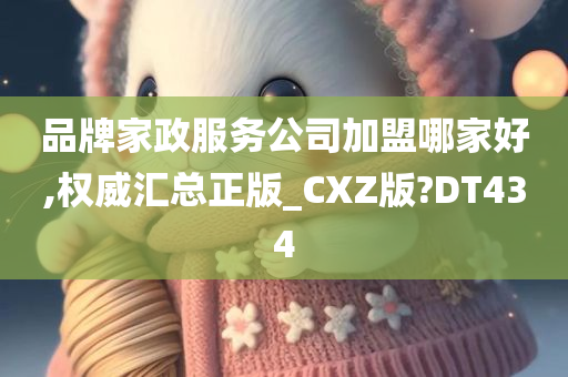 品牌家政服务公司加盟哪家好,权威汇总正版_CXZ版?DT434