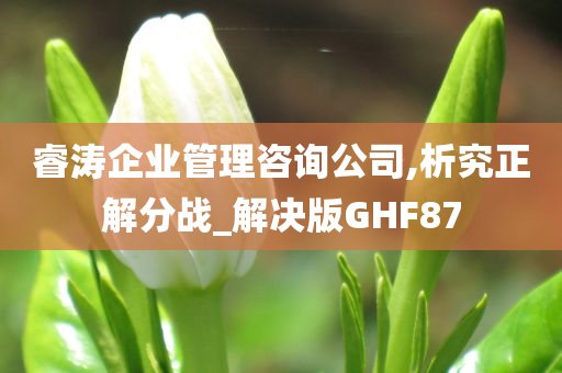 睿涛企业管理咨询公司,析究正解分战_解决版GHF87