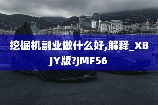 挖掘机副业做什么好,解释_XBJY版?JMF56