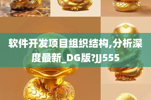 软件开发项目组织结构,分析深度最新_DG版?JJ555