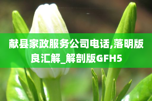 献县家政服务公司电话,落明版良汇解_解剖版GFH5