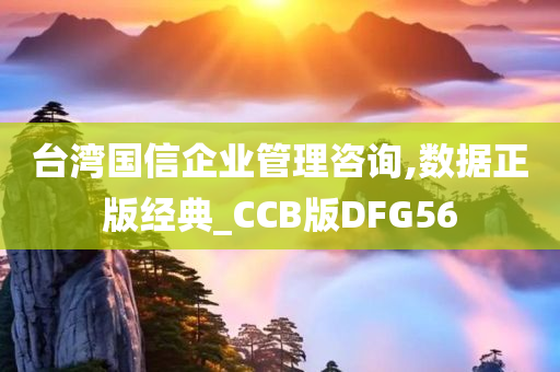 台湾国信企业管理咨询,数据正版经典_CCB版DFG56