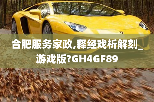 合肥服务家政,释经戏析解刻_游戏版?GH4GF89