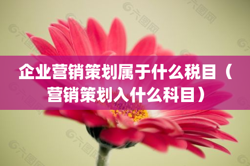 企业营销策划属于什么税目（营销策划入什么科目）