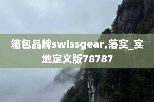 箱包品牌swissgear,落实_实地定义版78787