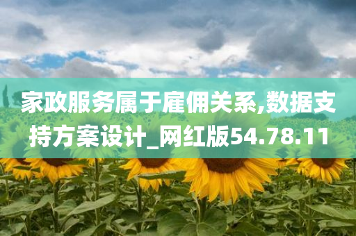 家政服务属于雇佣关系,数据支持方案设计_网红版54.78.11