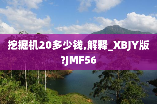 挖掘机20多少钱,解释_XBJY版?JMF56